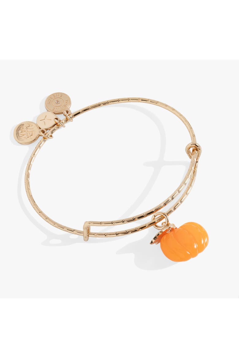 Pumpkin Textured Bangle, Main, color, Gold