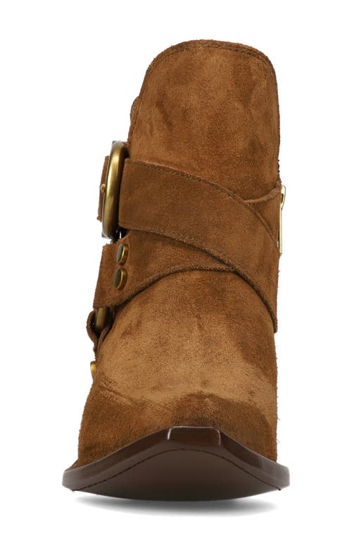 Frye Sacha Harness Bootie In Brown