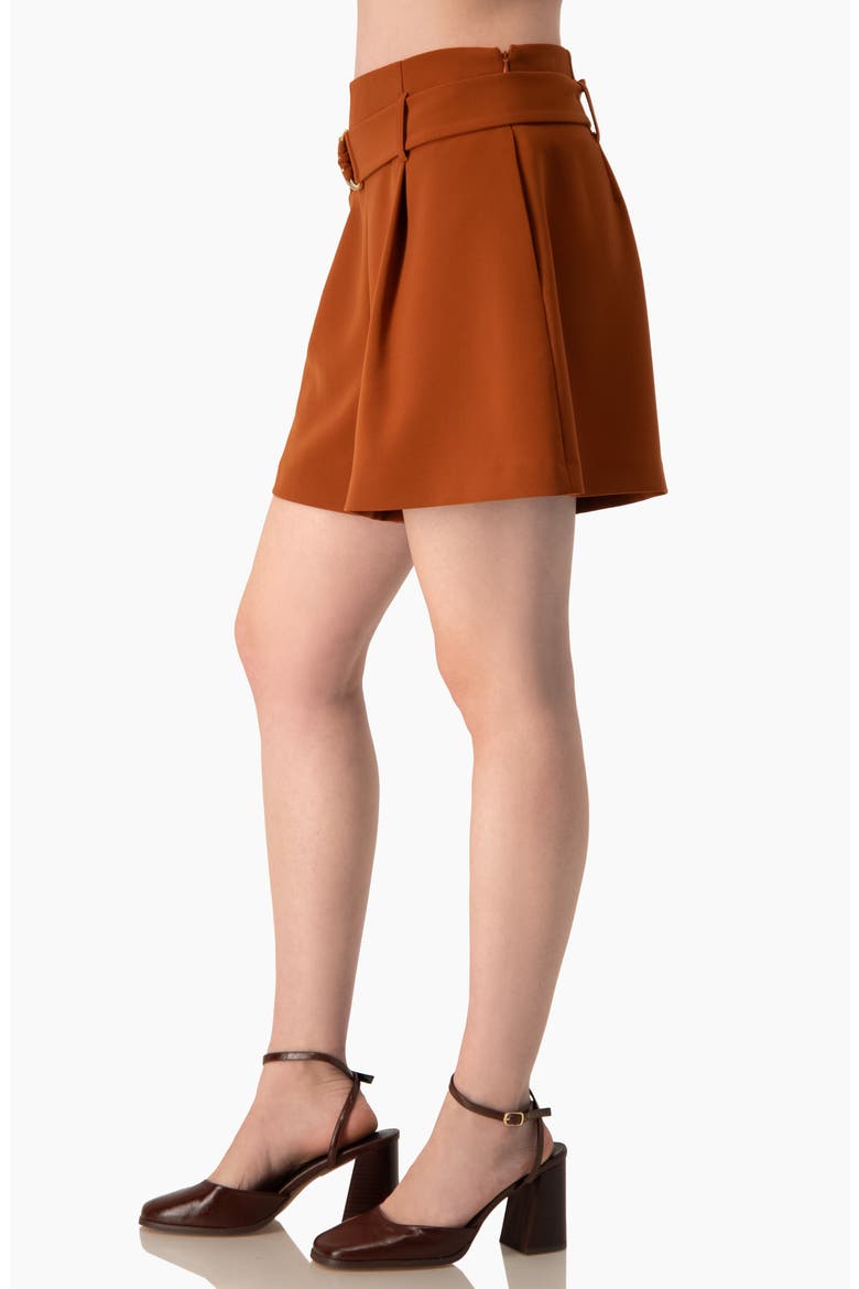 High-Rise Tailored Shorts with Removable Belt, Alternate, color, Chedron