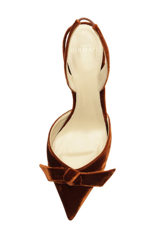 Alexandre Birman Clarita Bow Pointed Toe Slingback Sandal In Brown
