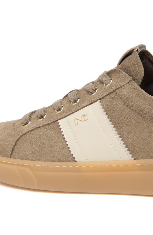 Nerogiardini Retro Low Top Sneaker In Brown
