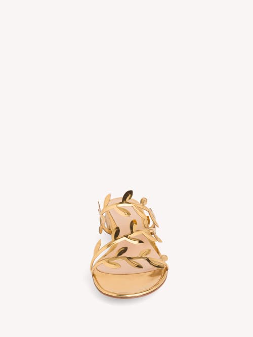 Shop Gianvito Rossi Flavia 05 Sandals In Gold