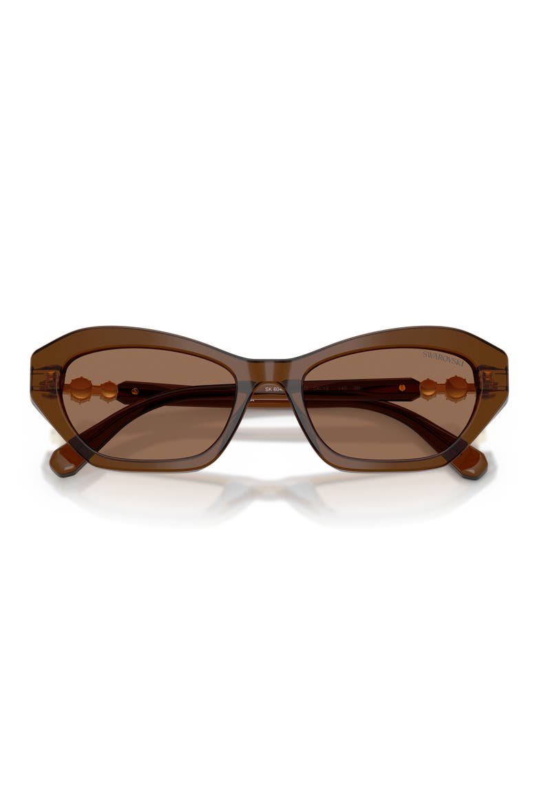 54mm Cat Eye Sunglasses, Alternate, color, TRANSPARENT BROWN / DARK BROWN