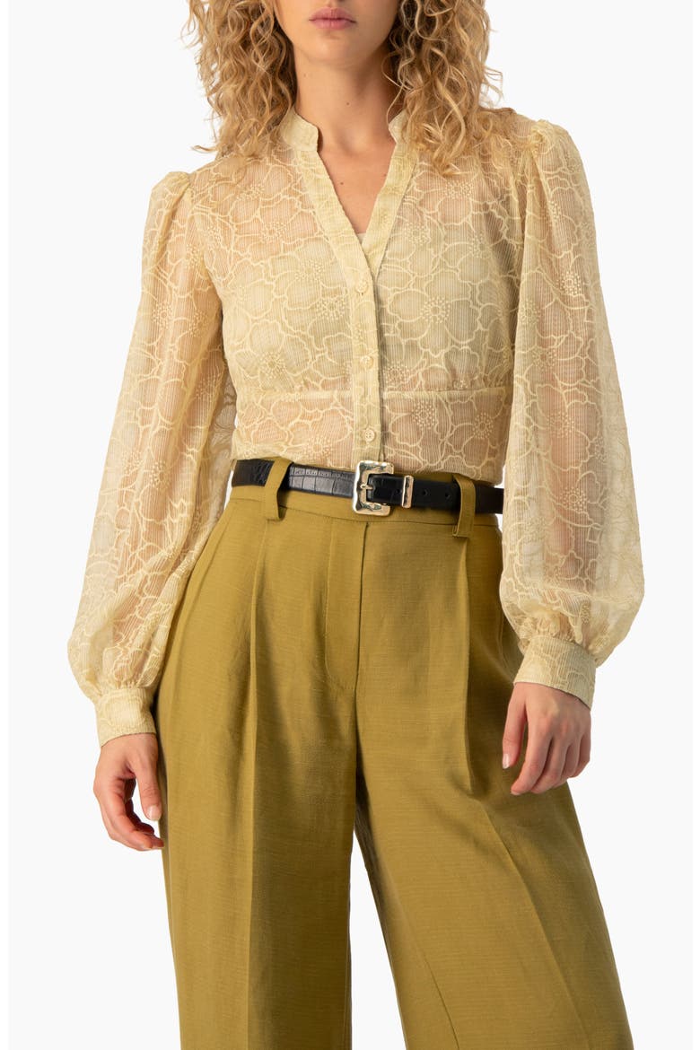 Sheer Floral Jacquard Puff-sleeve Button-front Blouse, Alternate, color, Ivory