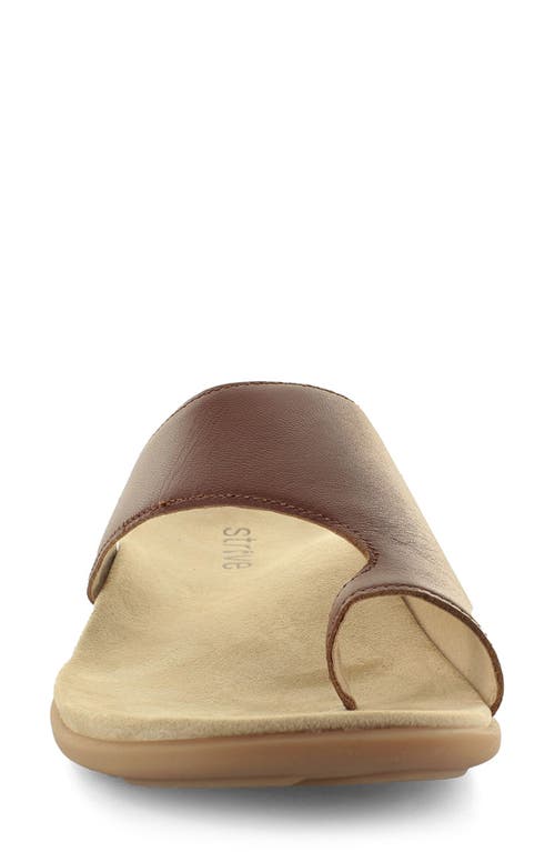Strive Capri Iii Toe Loop Sandal In Brown