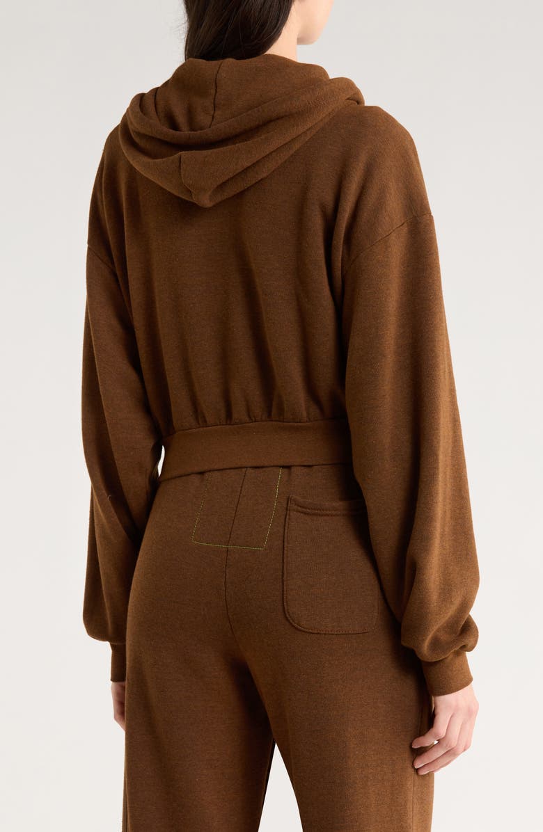 Aviator Nation 5-Stripe Zip Hoodie, Alternate, color, Chocolate/Espresso