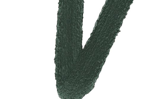 selected 07 - ABSOLUTE FOREST
