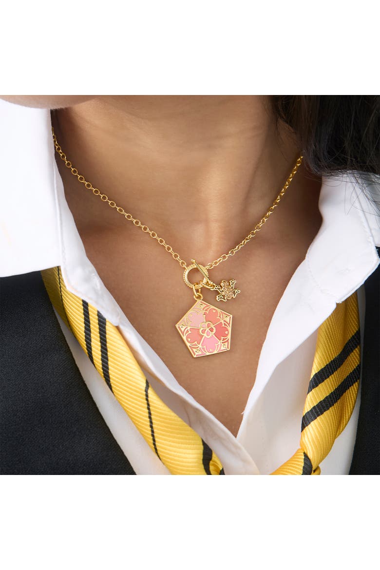 Jewelry Chocolate Frog Necklace, 16"+2", Alternate, color, Gold Tone