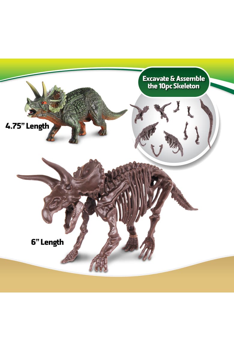 Dino Dig Triceratops Skeleton Excavation Kit, Alternate, color, Multicolored