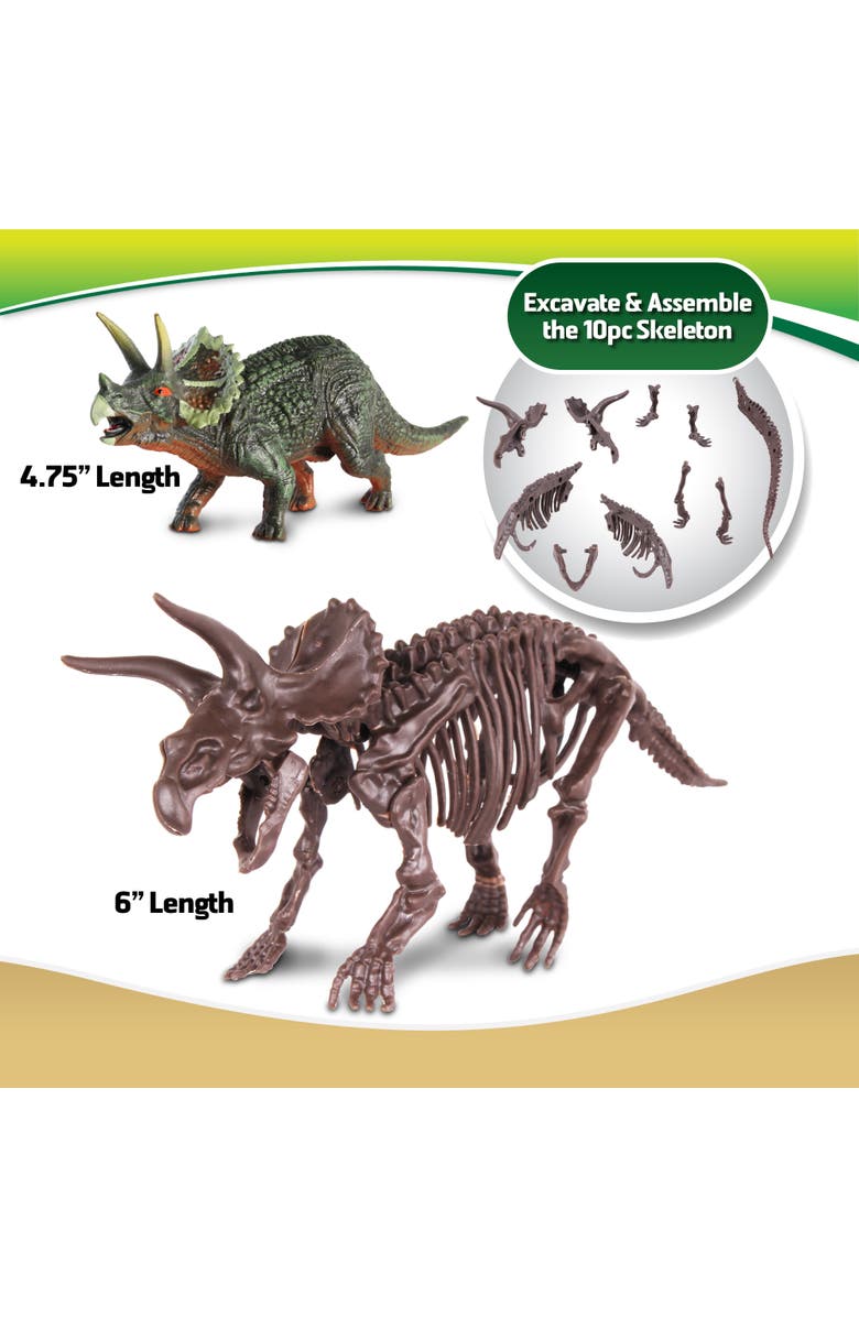 WowWorld Dino Dig Triceratops Skeleton Excavation Kit, Alternate, color, Multicolored