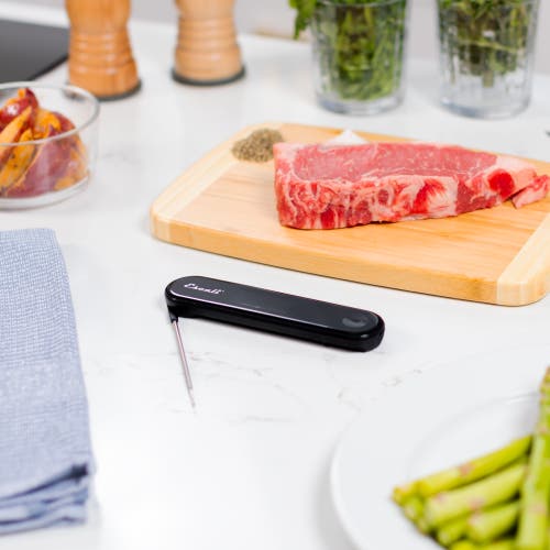 Escali Stelo Waterproof Folding Thermometer In Black