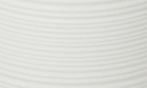 ROSELLI TRADING COMPANY ROSELLI TRADING COMPANY DUBAI TOOTHBRUSH HOLDER