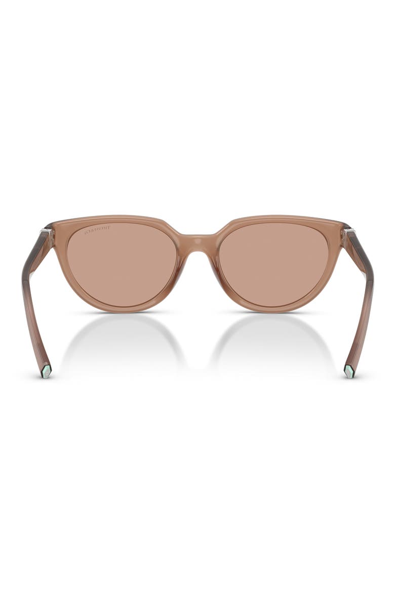 55mm Gradient Cat Eye Sunglasses, Alternate, color, COCA COLA SAPPHIRE / BROWN