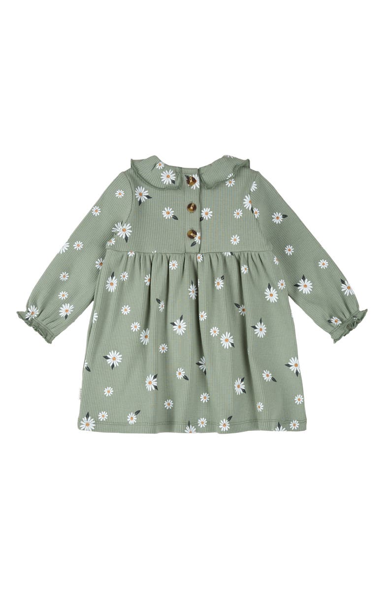 FIRSTS by Petit Lem Daisy Print Long Sleeve Cotton Dress & Leggings Set, Alternate, color, Green