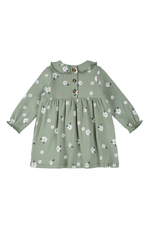 Firsts By Petit Lem Daisy Print Long Sleeve Cotton Dress & Leggings Set In Green