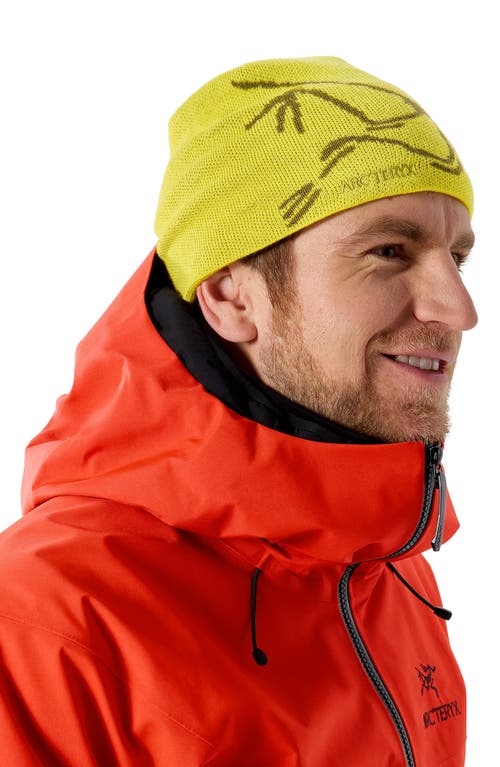 Arc'teryx Bird Head Merino Wool Blend Beanie In Yellow