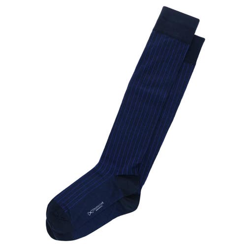 Trafalgar Valentino Vertical Stripe Over The Calf Mercerized Cotton Sock In Navy With Royal Blue Stripes