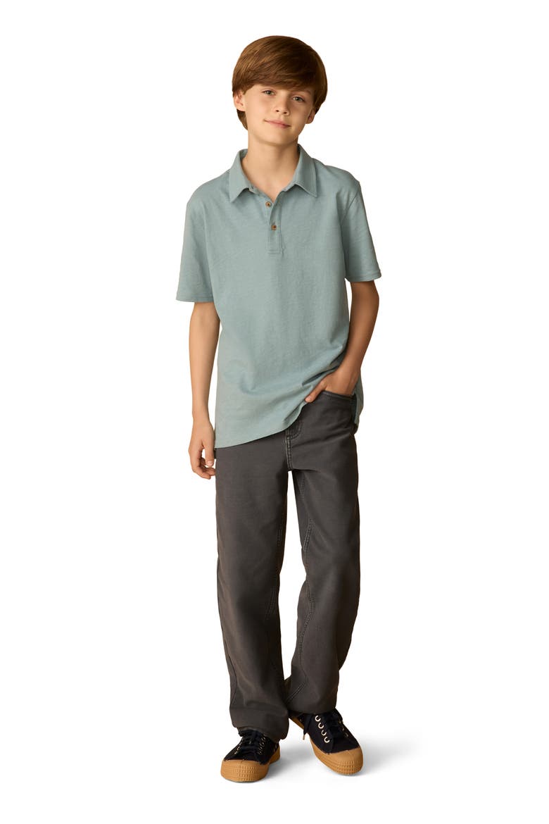 Kids' Sun Washed Organic Cotton Polo, Alternate, color, MOUNTAIN WIND STRIPE