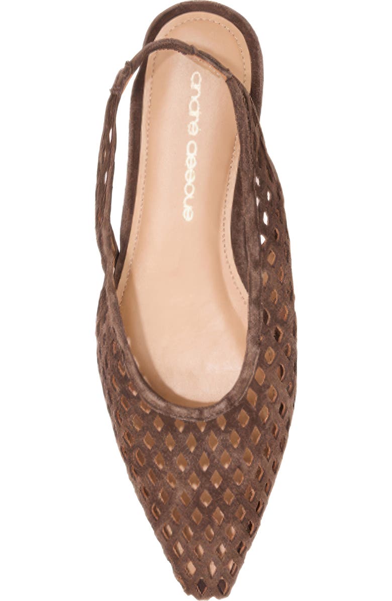 André Assous Brielle Pointed Toe Slingback Flat, Alternate, color,