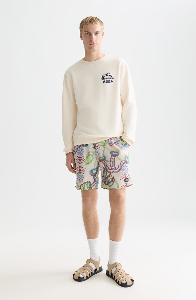 Scotch & Soda Desert Solstice Regular Fit Graphic Sweatshirt, Alternate, color, Eggnog