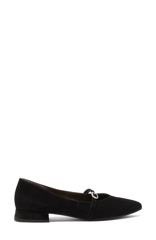 Paul Green Tootsie Pointed Toe Mary Jane Loafer In Black Suede