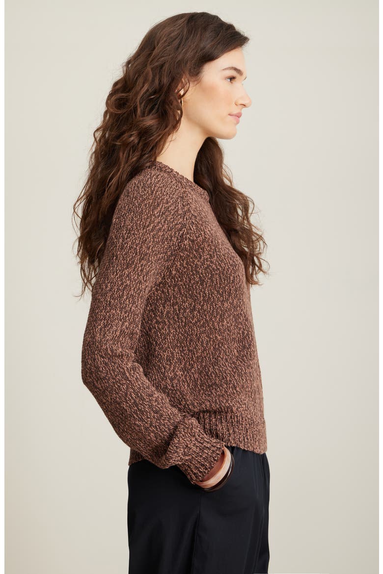 Raglan Sweater, Alternate, color, BROWN COFFEE- BROWN NUT MARL
