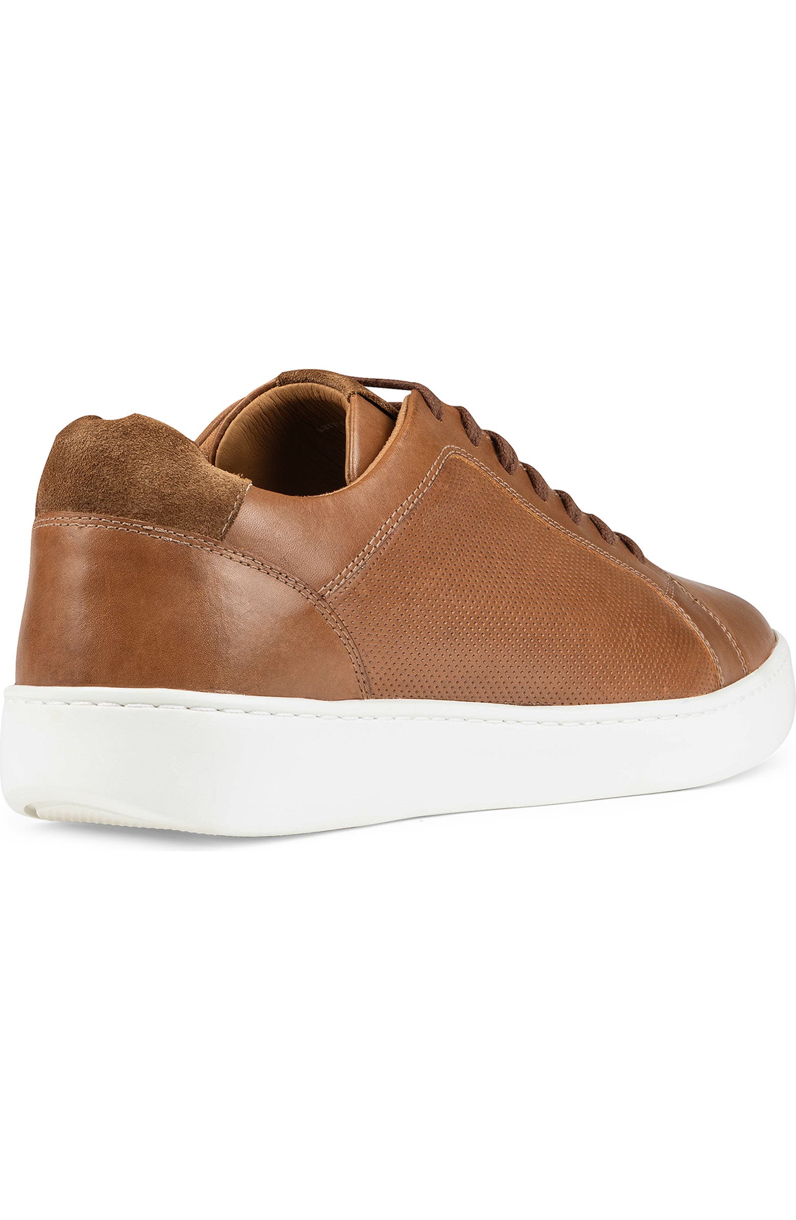 Donald Pliner Perforated Sneaker (Men) | Nordstromrack