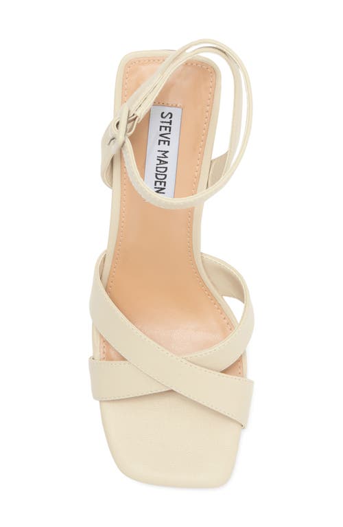 Steve Madden Renley Block Heel Ankle Strap Sandal In Bone Leather