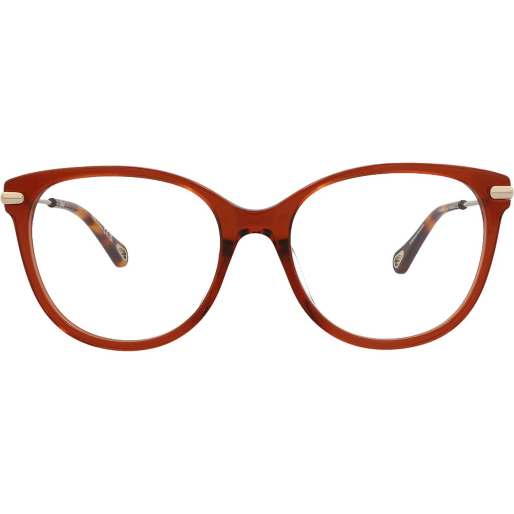 Chloé Women's Ch0058oa 53mm Optical Frames In Brown Gold Transparent