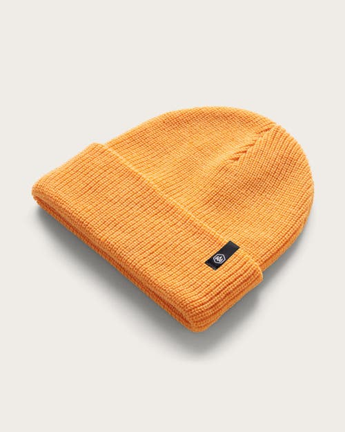 Hemlock Ranger Toddler Beanie In Apricot
