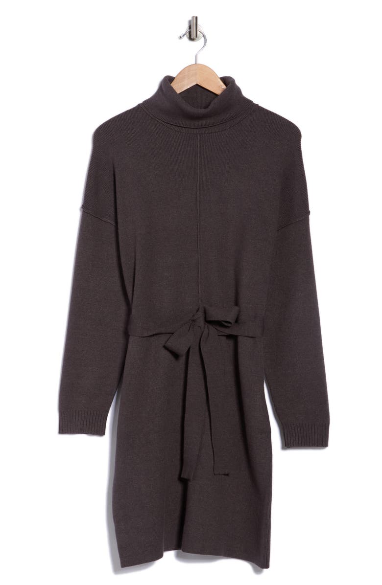 STITCHDROP Hickory Run Long Sleeve Sweater Dress, Alternate, color, Ganache