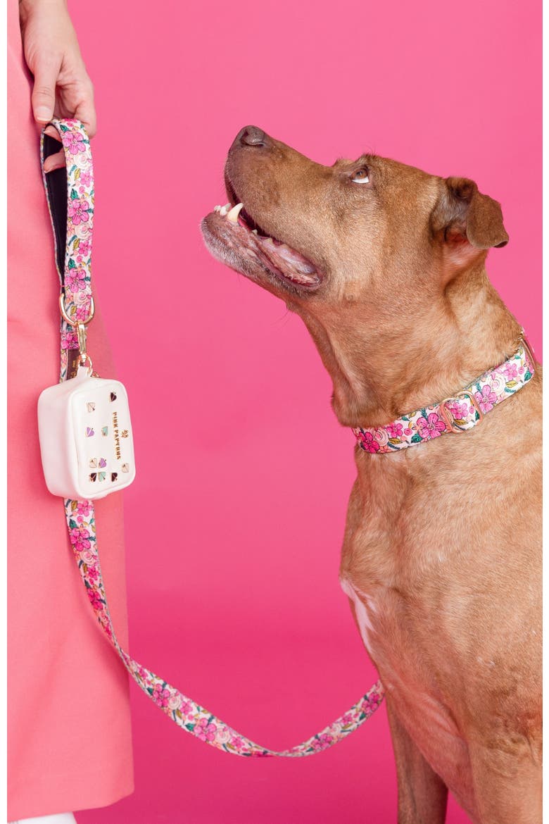 Gianna Dog Collar, Alternate, color, Gianna