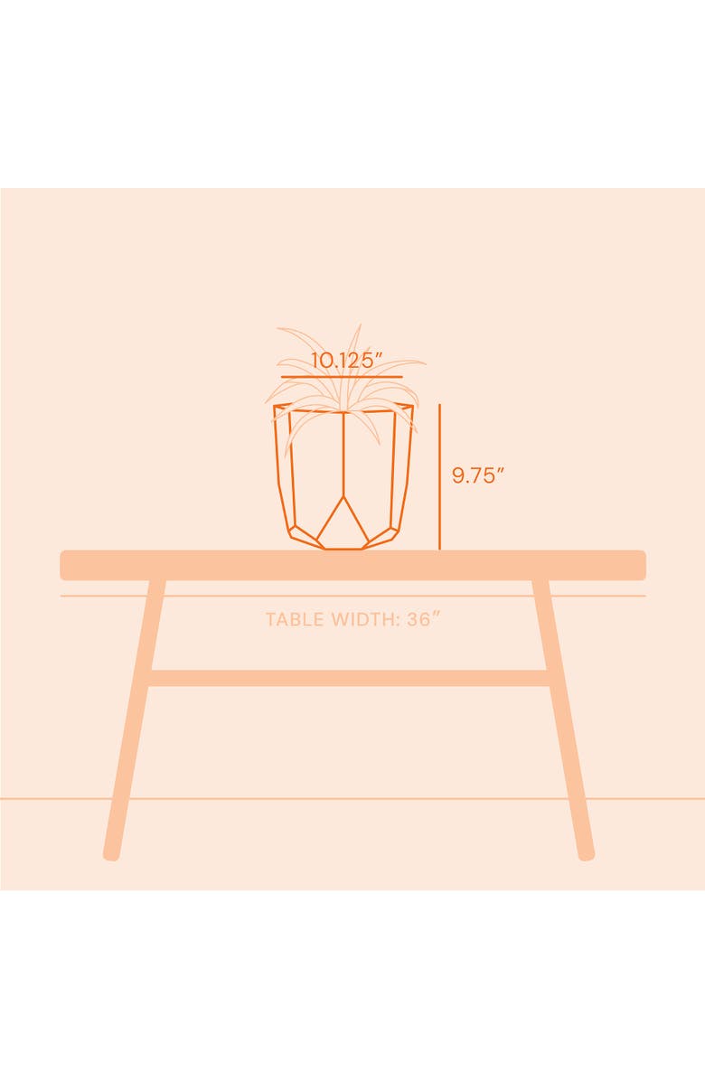 Bloem 10 Inch Tuxton Hexagon Planter, Charcoal, Alternate, color, Gray