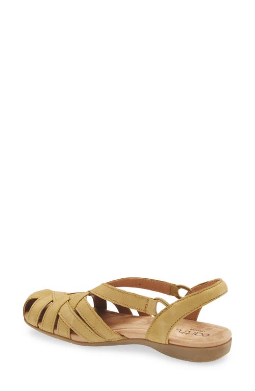 Earth ® Berri Slingback Sandal In Brown