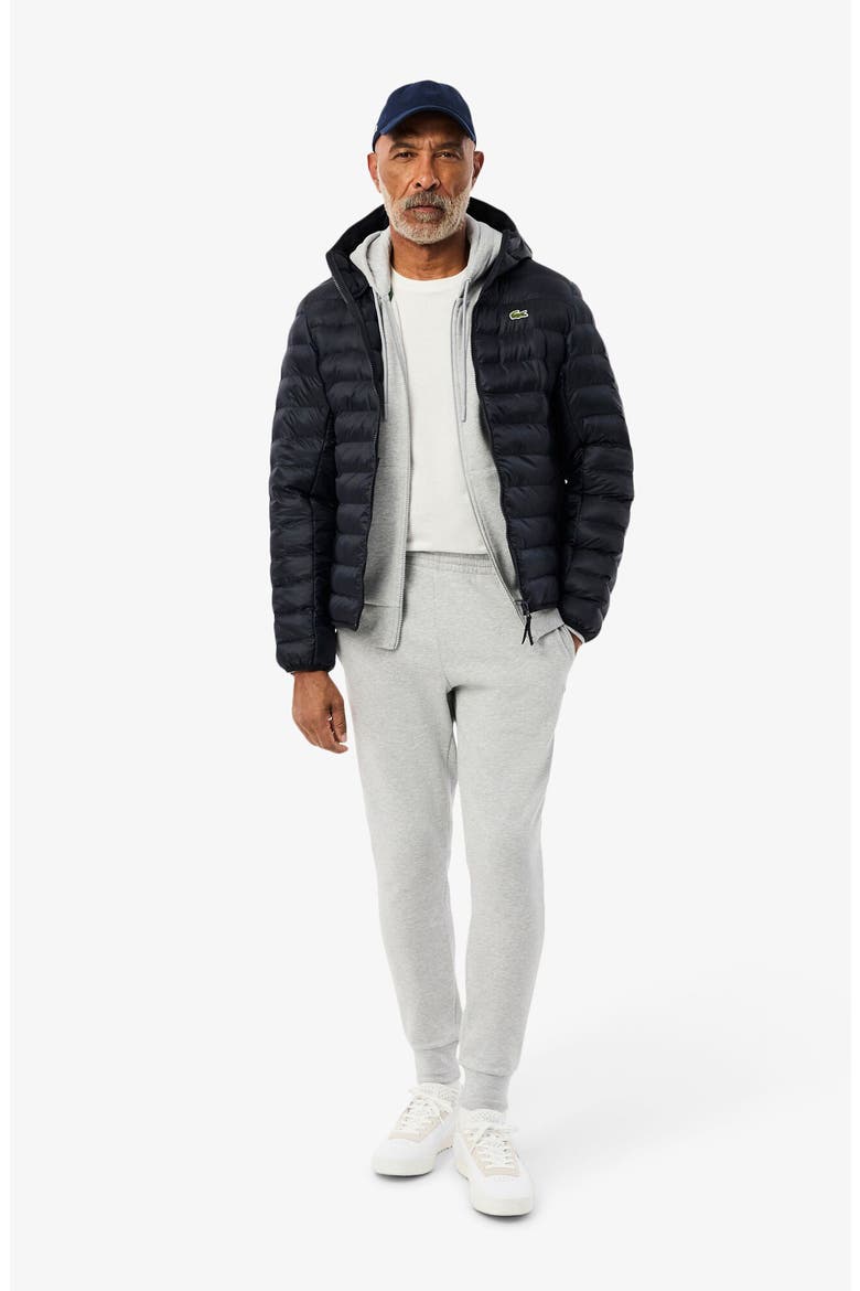 Hooded Puffer Jacket, Alternate, color, HDE ABYSM