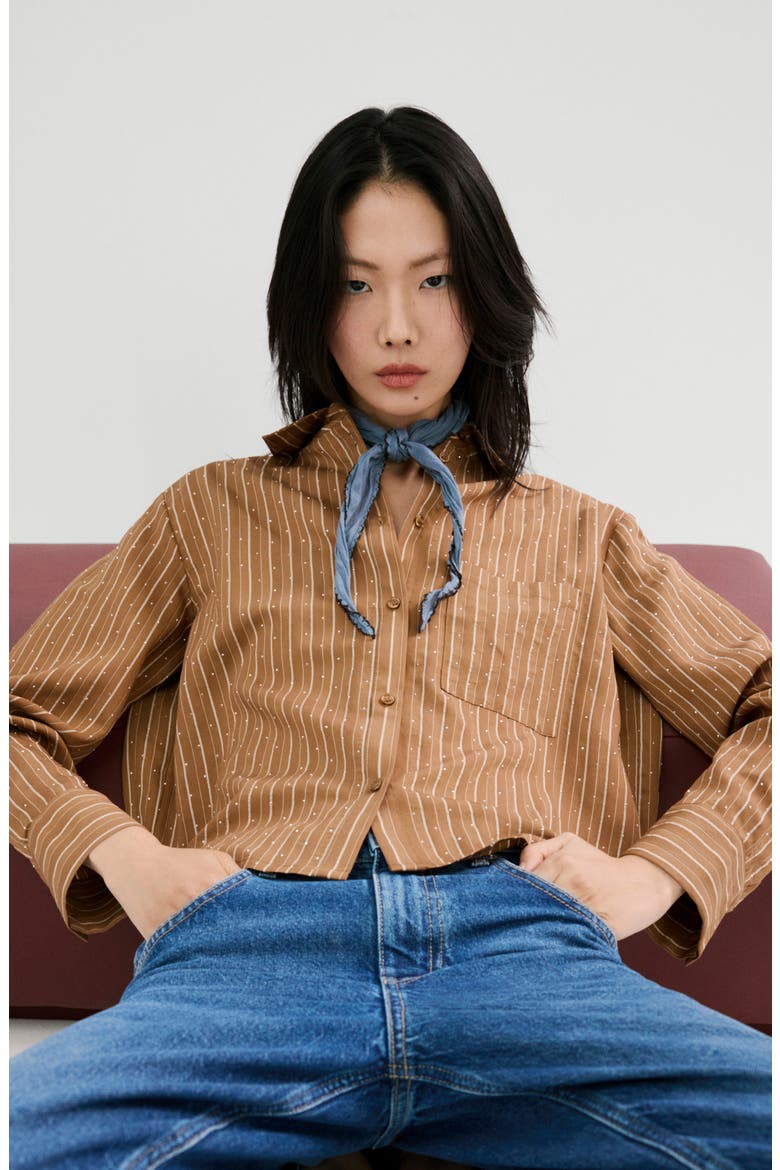 Stripe Rhinestone Shirt, Alternate, color, BROWN