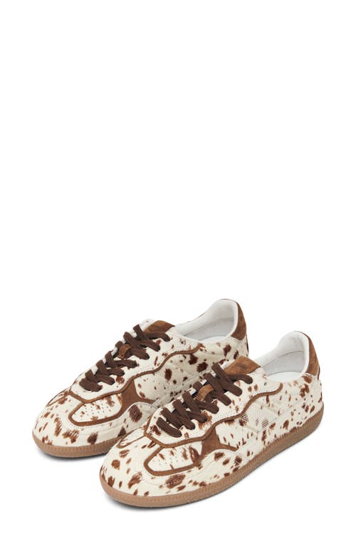 Alohas 'tb.490' Brown Low Top Sneakers With Embossed Logo On The Side And Perforated Details In Brown