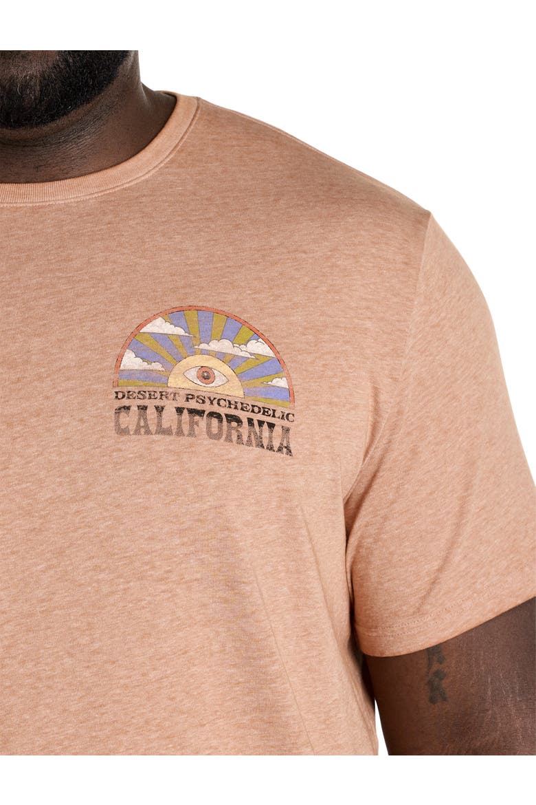 Big & Tall Cali Desert Music Graphic Tee, Alternate, color, SEIRRA