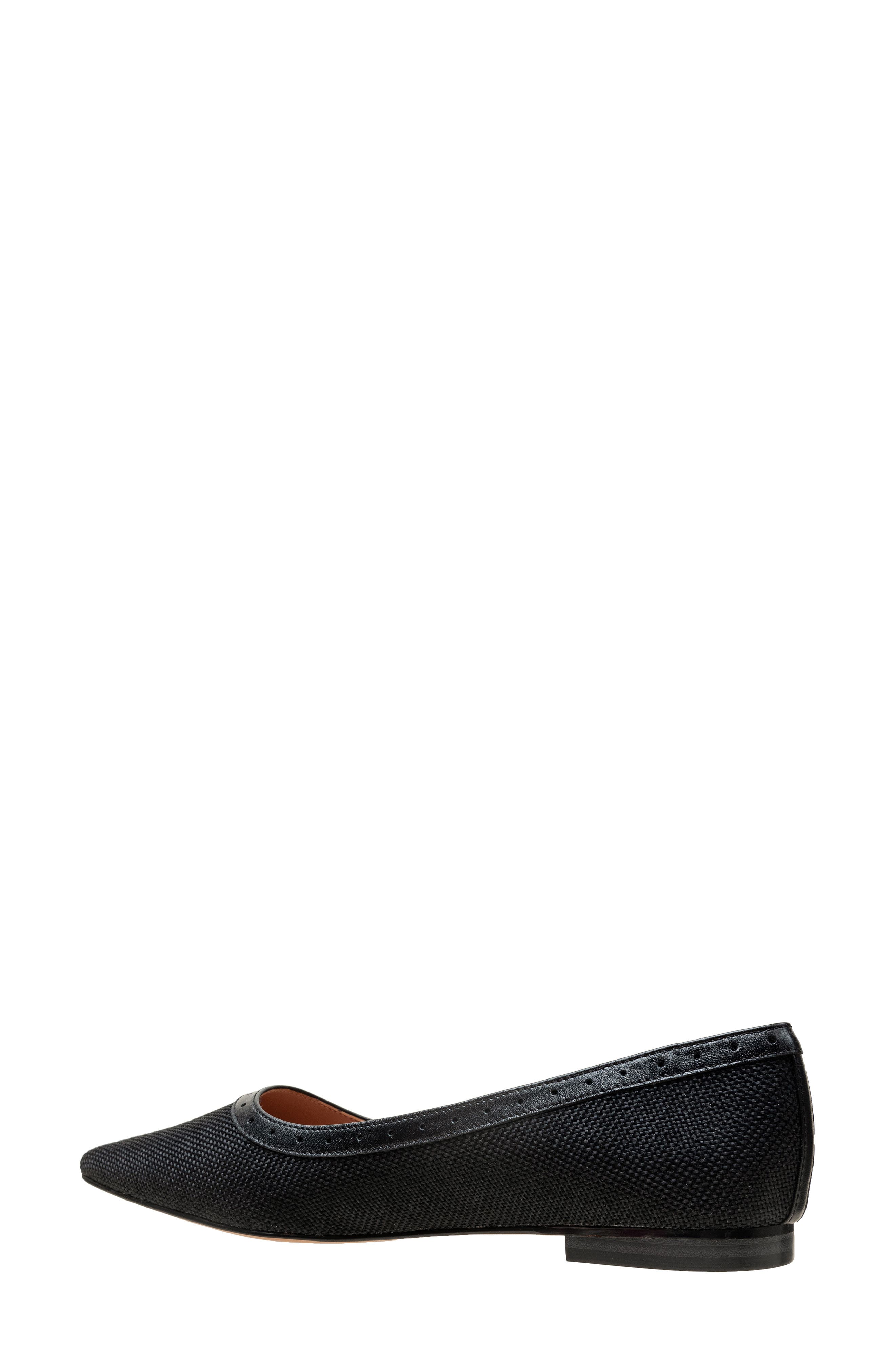 Linea Paolo Newport Pointed Toe Flat, Alternate, color, Black