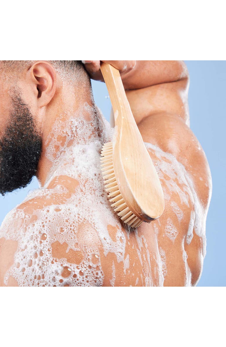 PURSONIC Bath Body Brush With Long Wood Handle 4-Piece Family Pack, Alternate, color, Multicolor