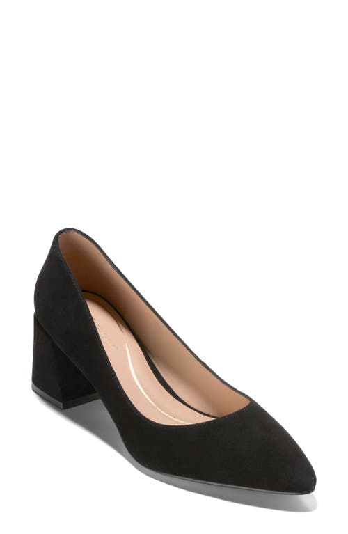 Cole Haan Cassandra Pointed Toe Pump In Black