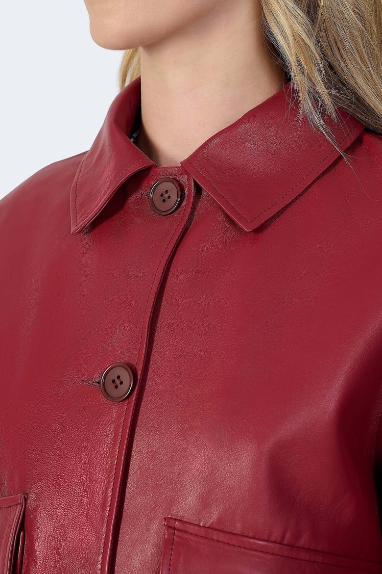 Ella Leather Jacket, Alternate, color, Light Burgundy