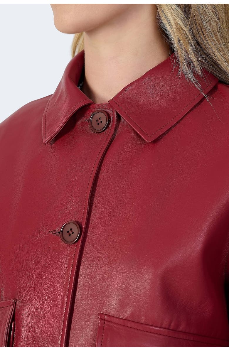 Furniq UK Ella Leather Jacket, Alternate, color, Light Burgundy