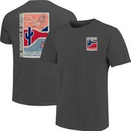 IMAGE ONE Men's  Graphite Arizona Wildcats Comfort Colors Minimal Vista Distressed Graphics T-Shirt
