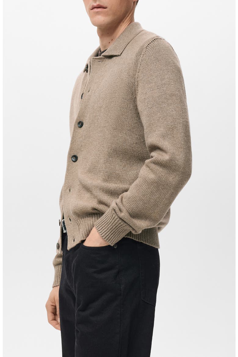 Wool Blend Cardigan, Alternate, color, BEIGE