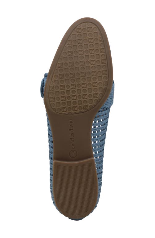 Charles David Finite Raffia Loafer In Blue