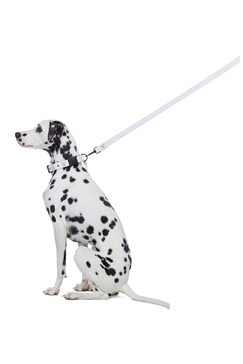 Pet Leash in Visetos, Alternate, color, white