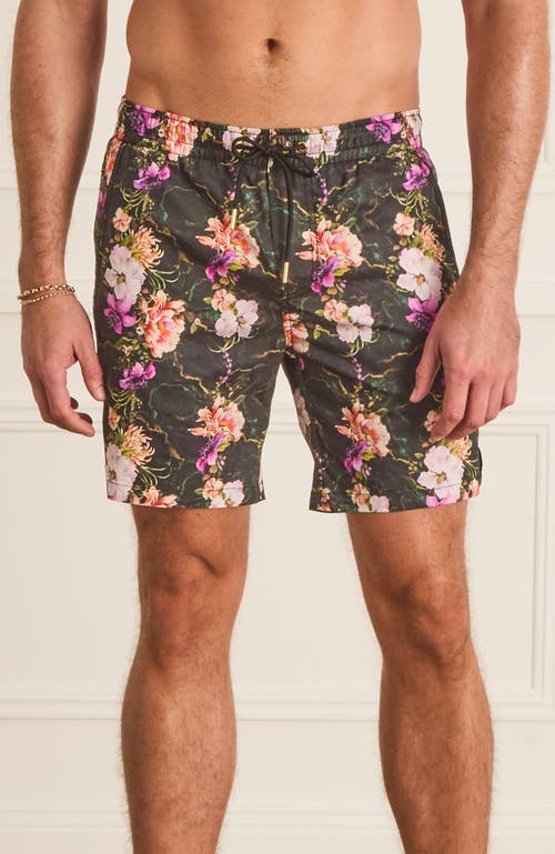 Aqua Blu Classic Boardshorts In Black