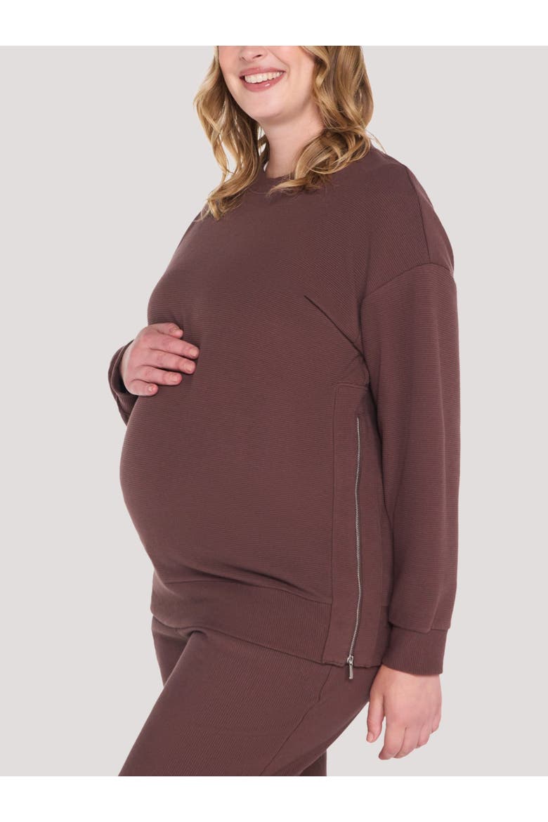 Crew Neck Long Sleeve Side Zip Tunic, Alternate, color, French Roast