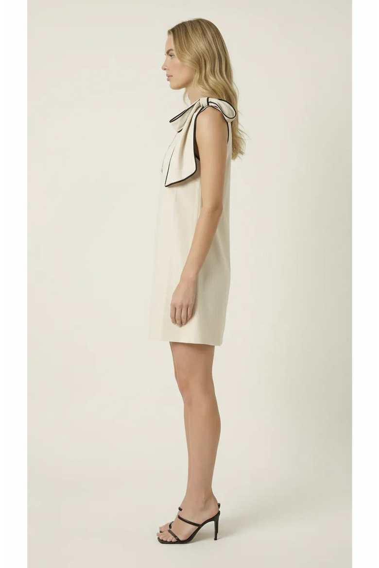 Contrast Trim Bow Mini Dress, Alternate, color, Ivory
